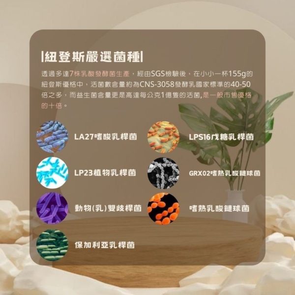 紐登斯優格：圖片 4